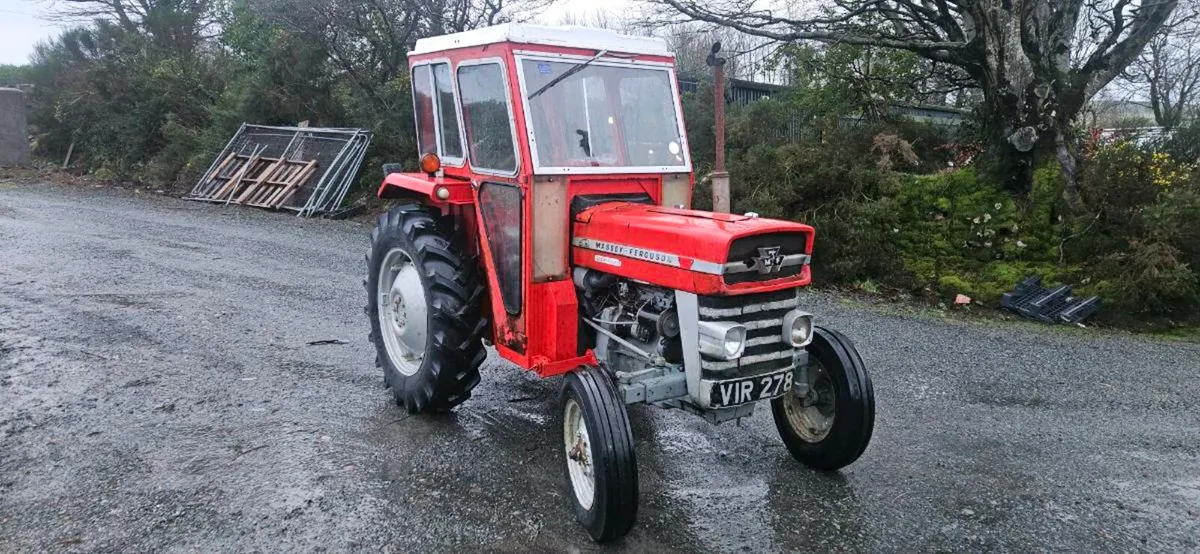 Massey Ferguson 135 - Image 1