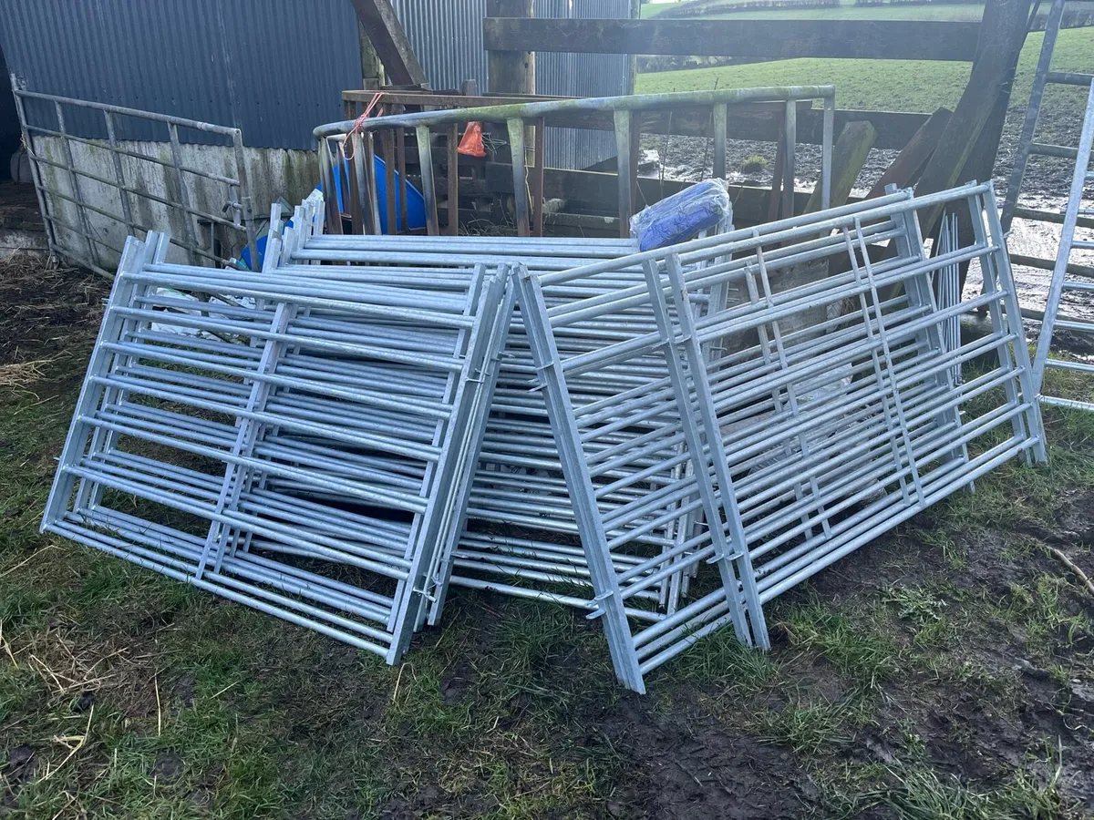 Extendable, gates and barriers - Image 1