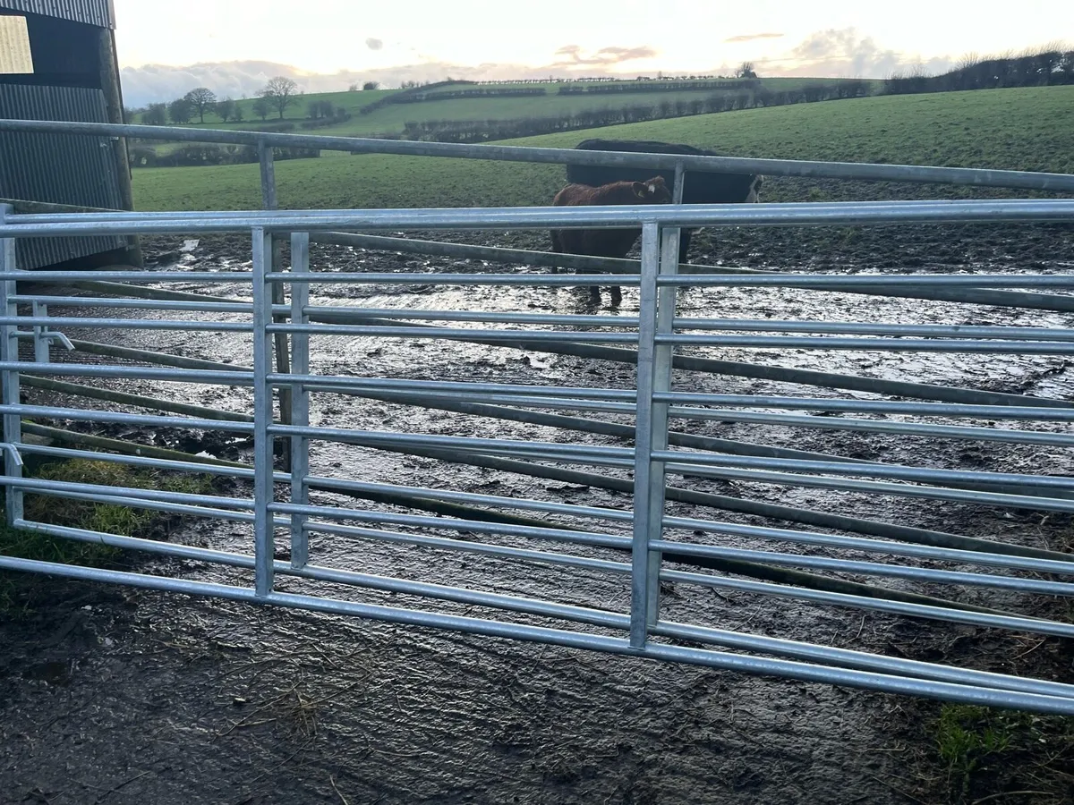 Extendable, gates and barriers - Image 2