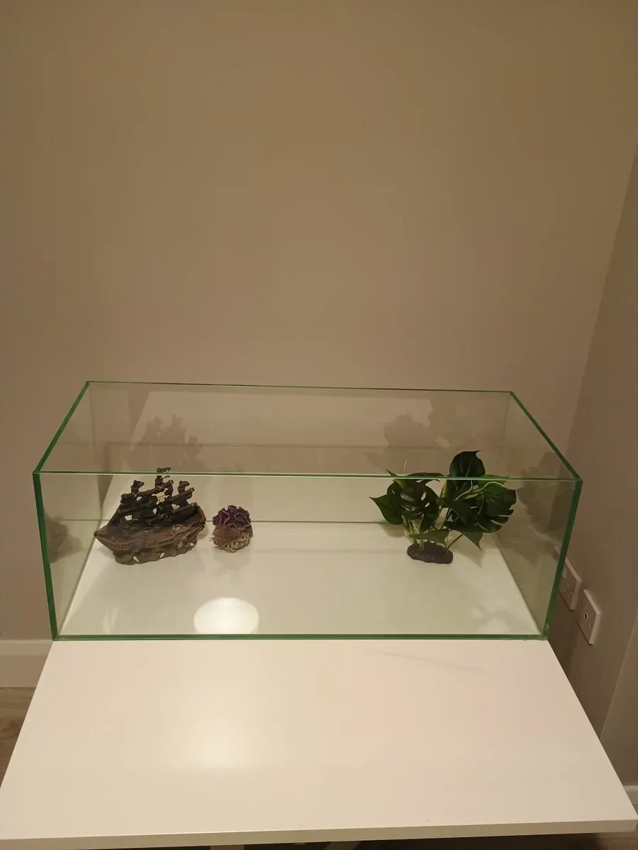 Glass Fish Tank & Pump/Filter - Image 1
