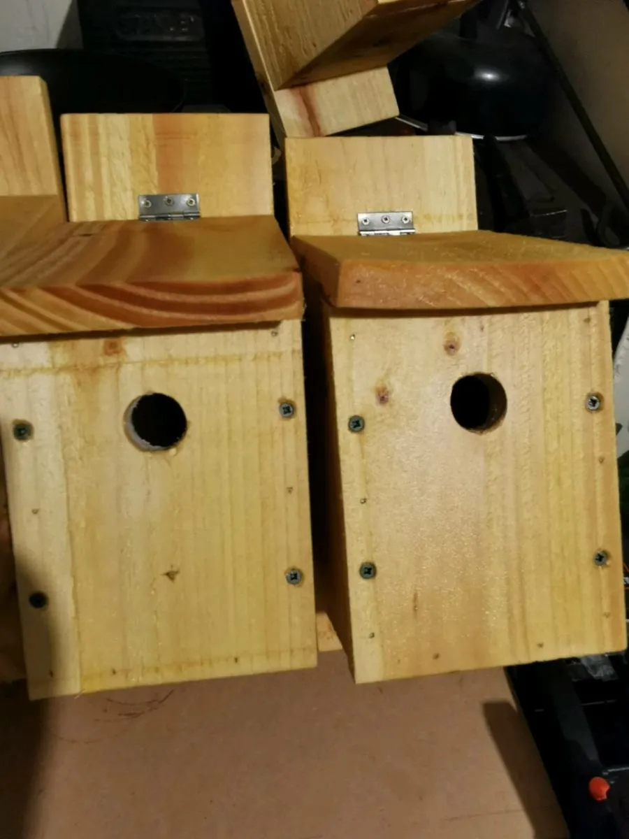 Bird Nesting boxes - Image 1