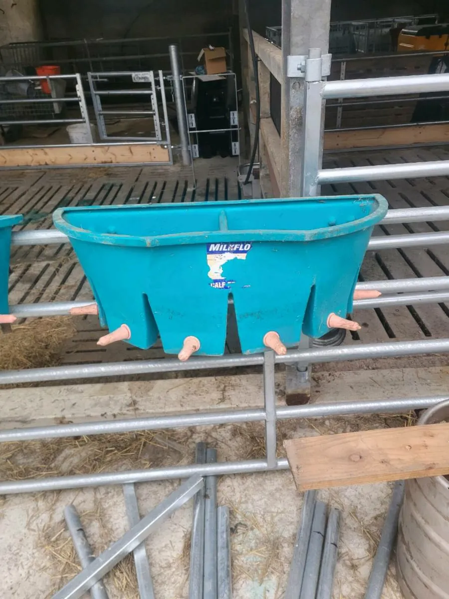Calf milk feeders - Image 1