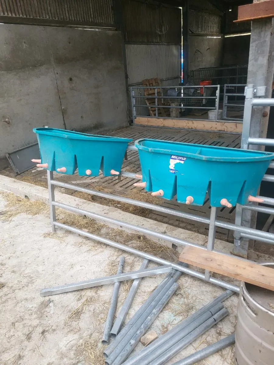 Calf milk feeders - Image 2