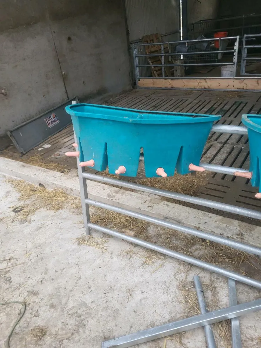Calf milk feeders - Image 3