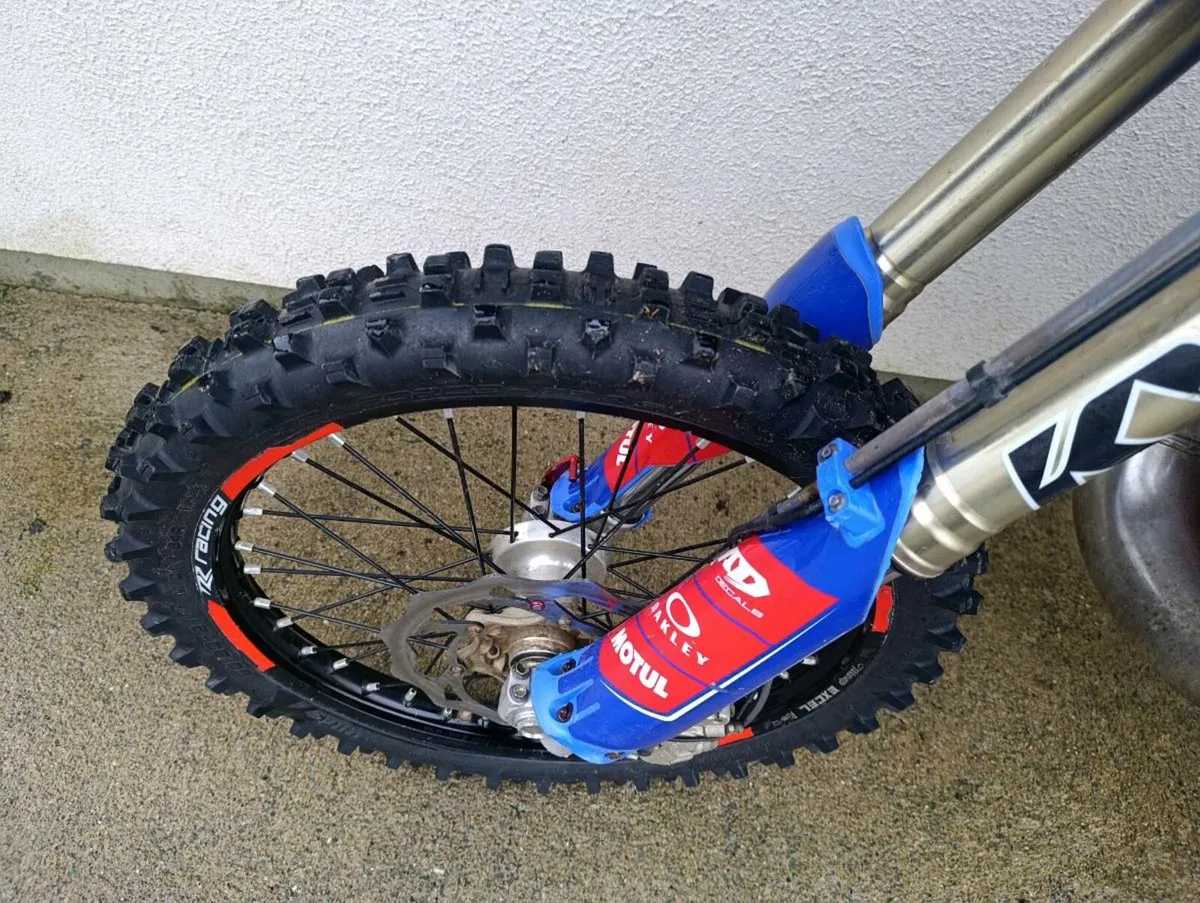 Beta 300rr - Image 4