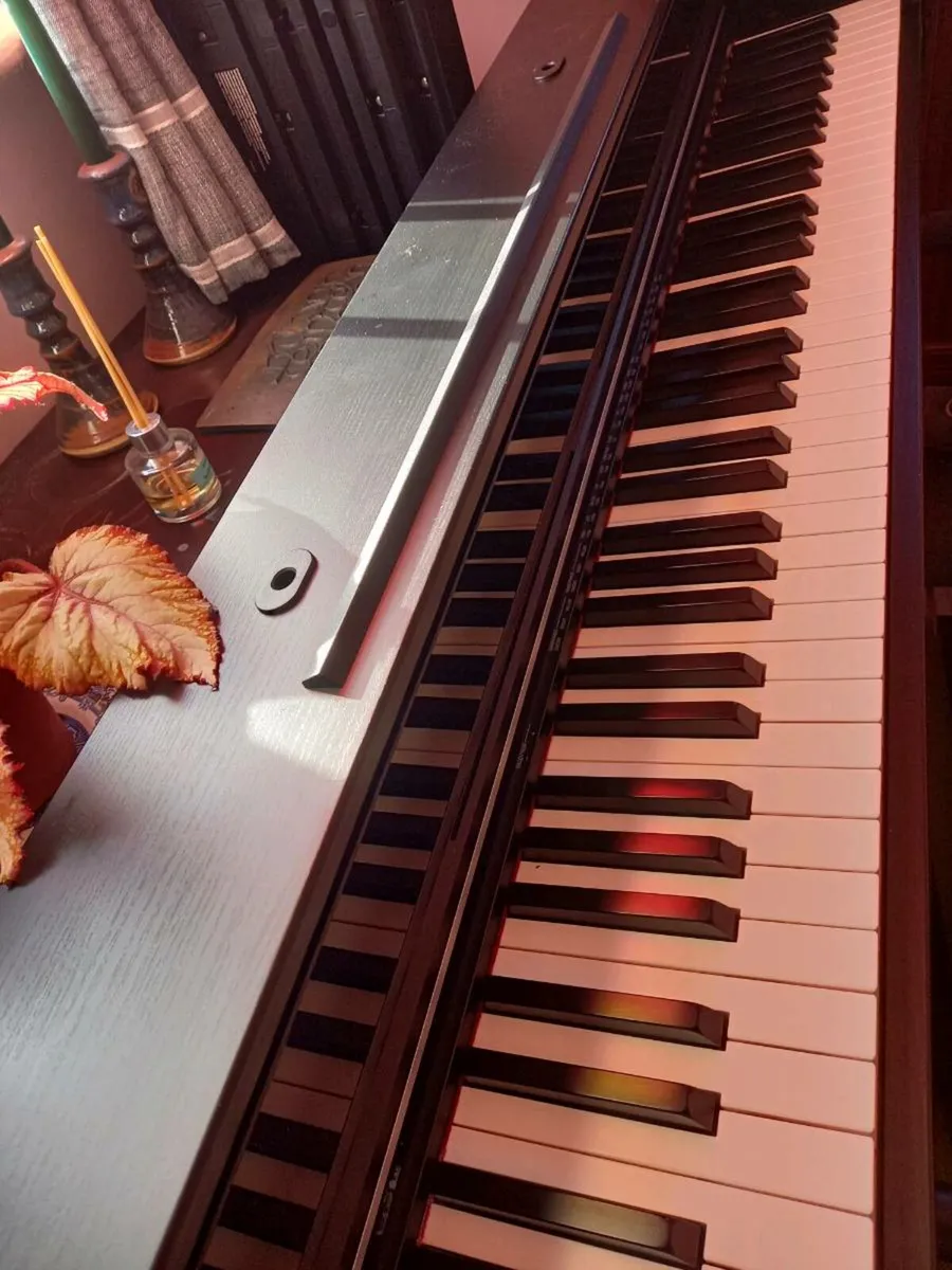 Casio Celviano APS 450 - Image 1