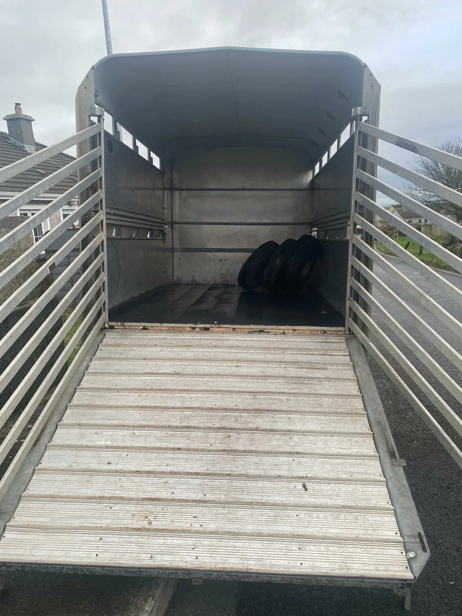 Ford transit and cattle body - Image 3