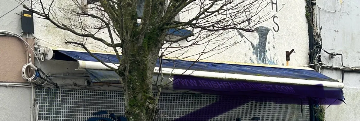 Shop awning blind canopy - Image 3