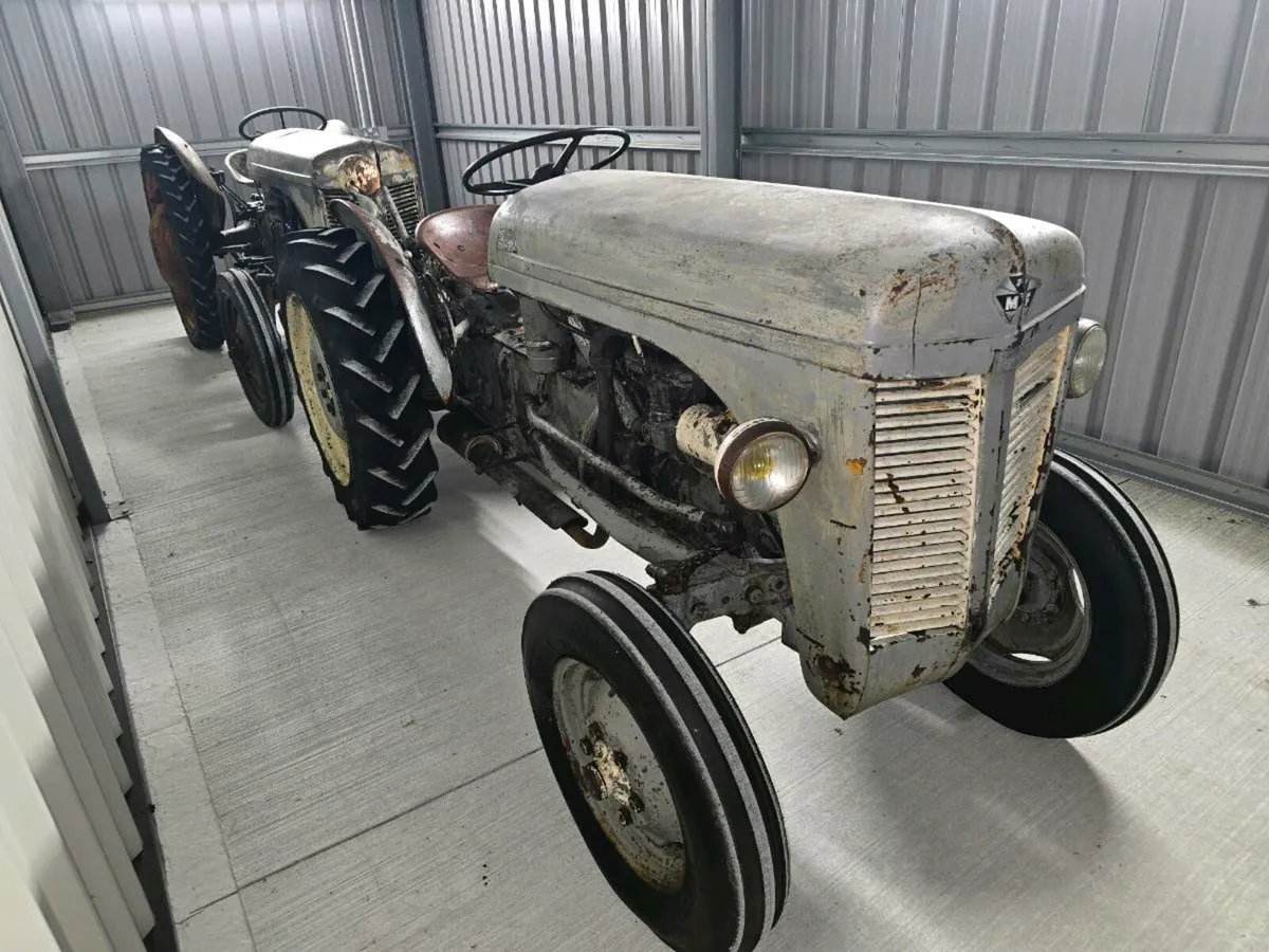 Vineyard grey fergie vintage tractors - Image 1
