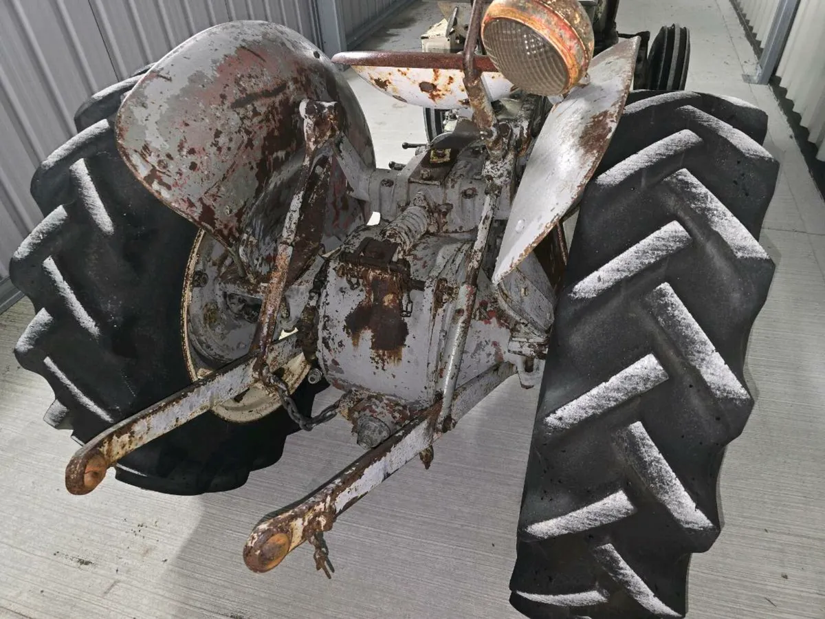 Vineyard grey fergie vintage tractors - Image 2