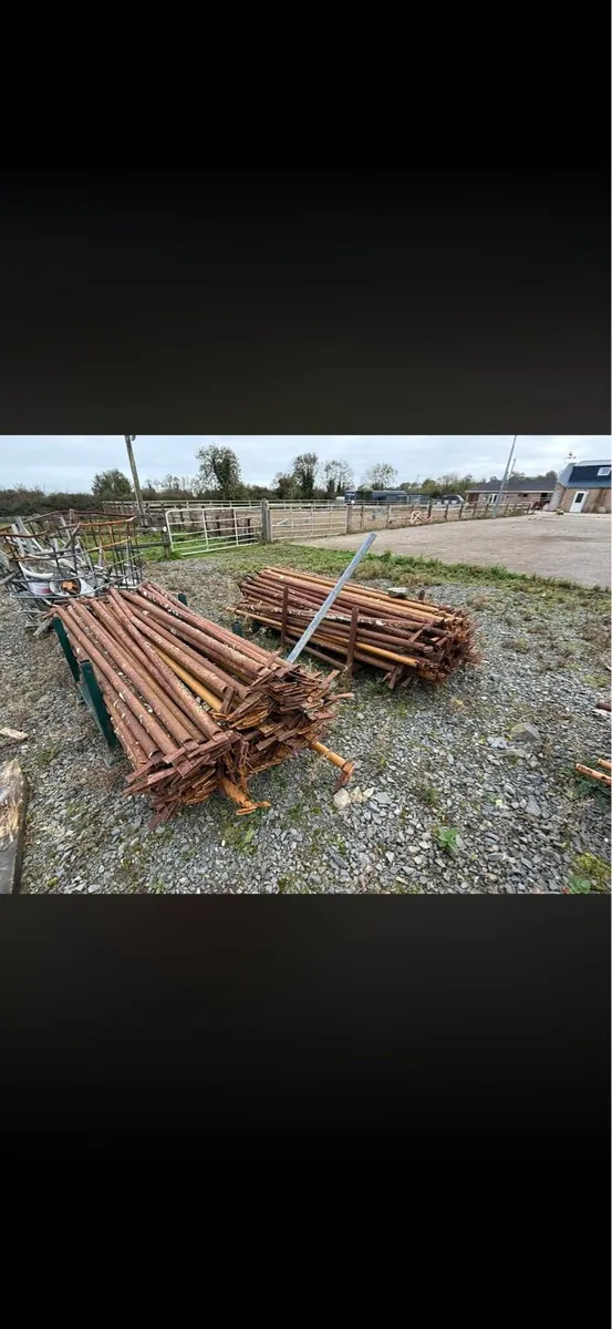 Scaffolding - Image 3