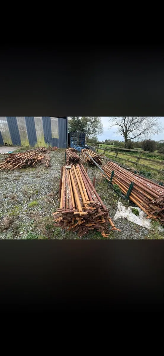 Scaffolding - Image 4