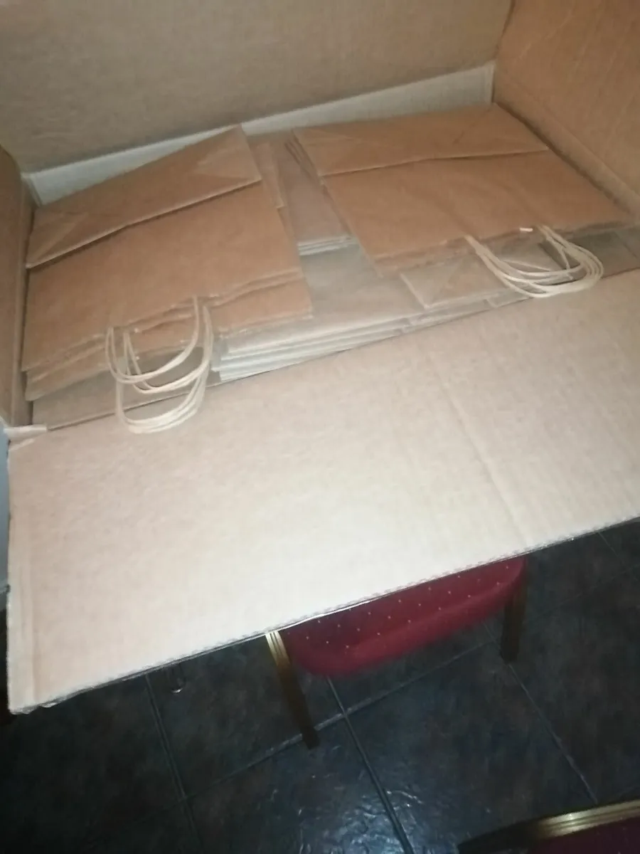 Lined Kraft Bags - Image 2