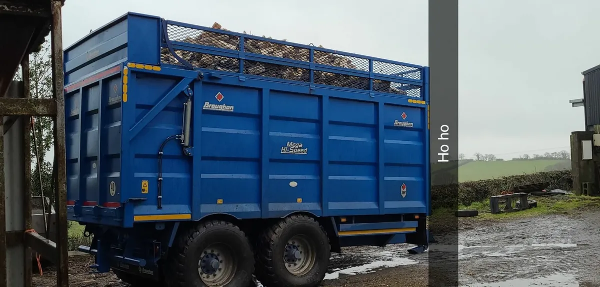 Ash Firewood - Image 1