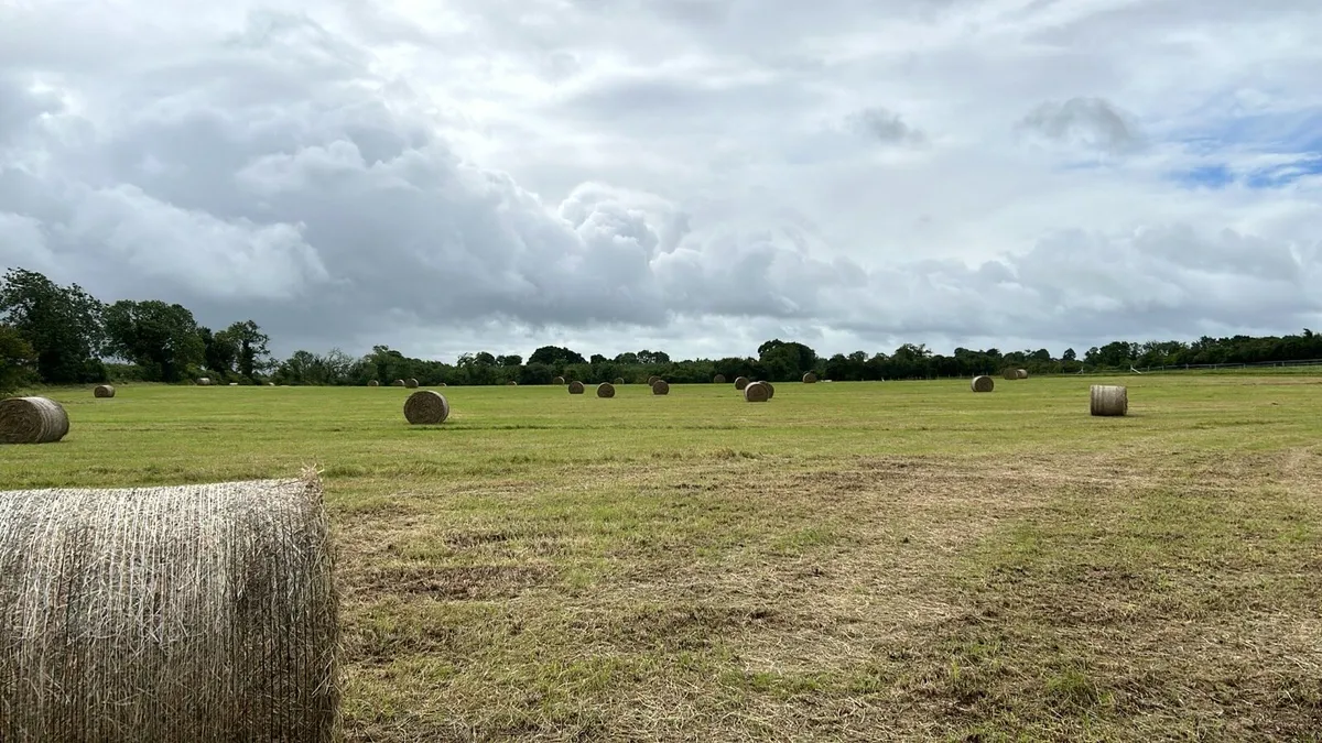 Land wanted to rent - Image 3