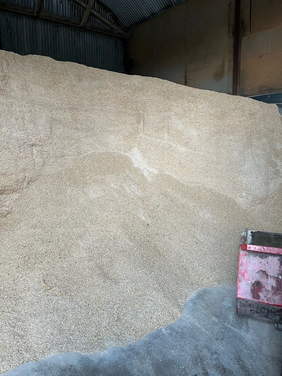 Barley rolled & propcorned - Image 1