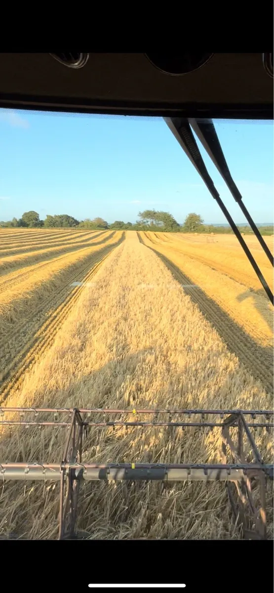 Barley rolled & propcorned - Image 2