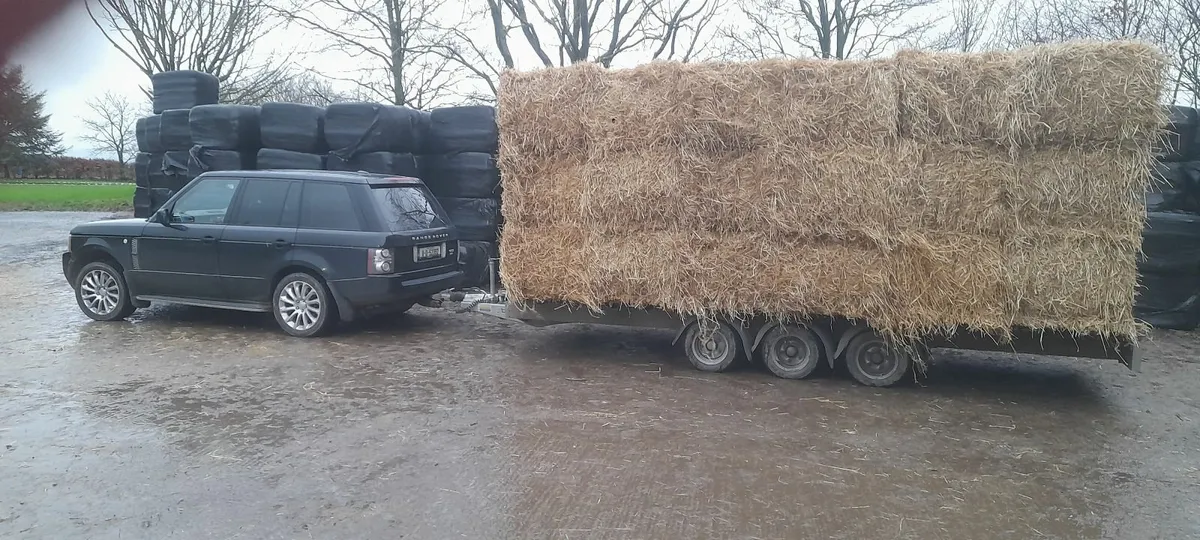 Hay and straw - Image 1