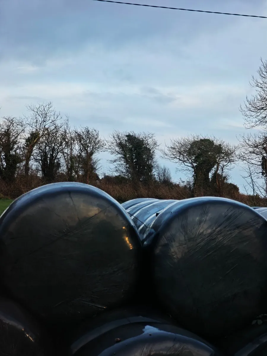 Bale silage - Image 1
