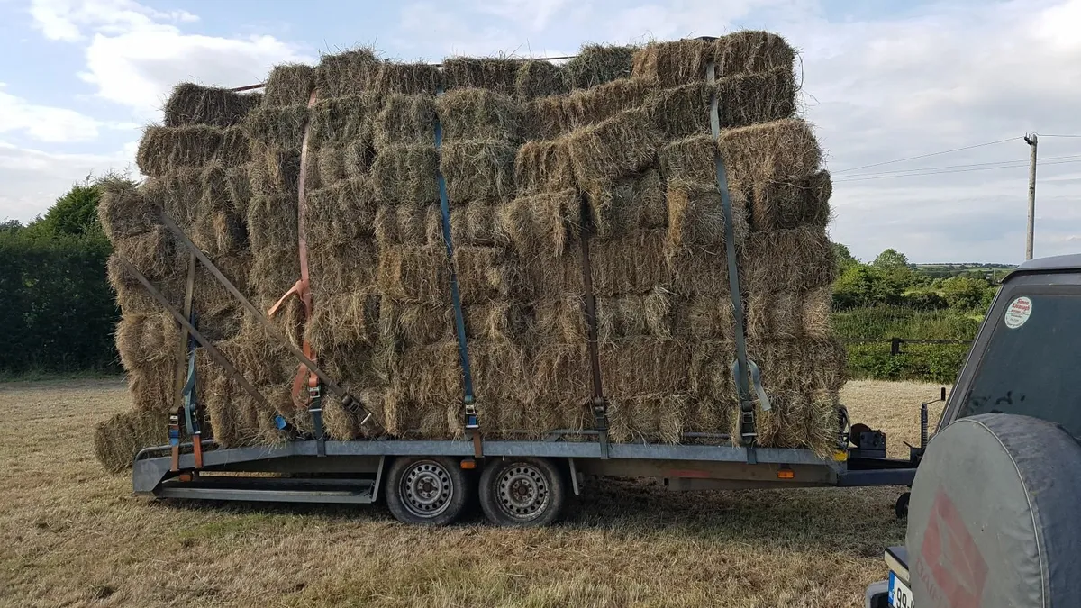 Small Square Bales of Hay - Image 2