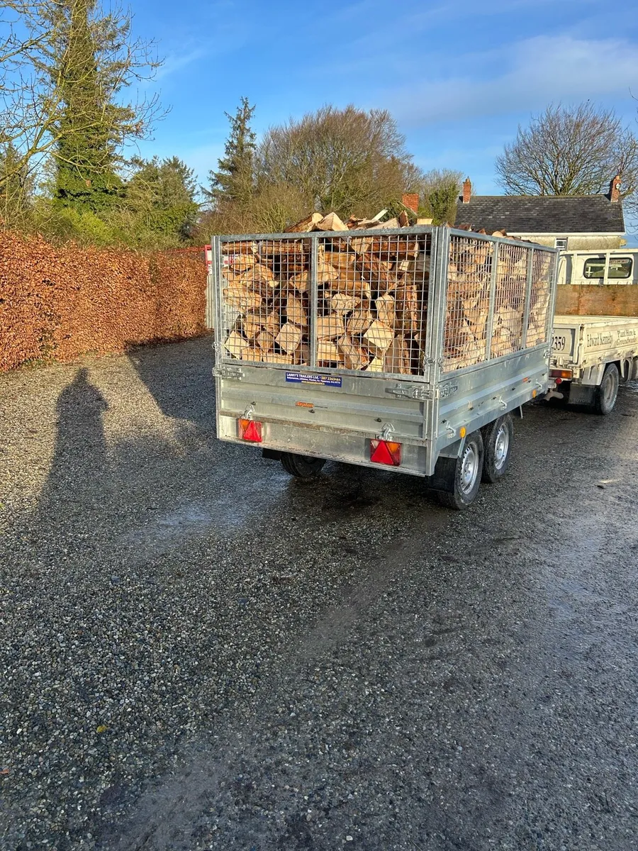 DRY FIREWOOD - Image 4