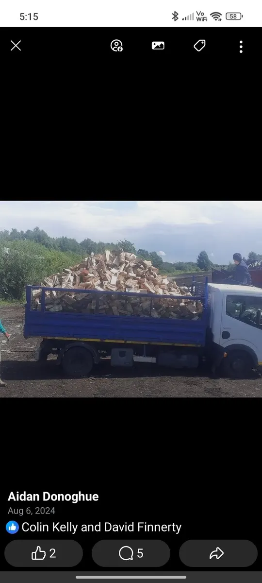 Firewood hardwood - Image 1