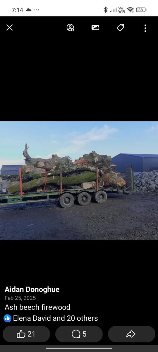 Firewood hardwood wanted - Image 1