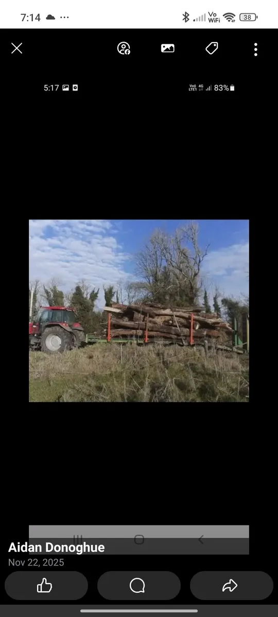 Firewood hardwood wanted - Image 2