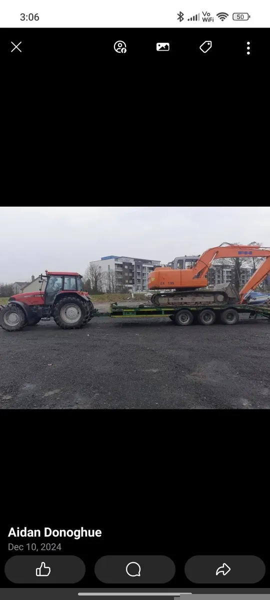 Firewood hardwood wanted - Image 3