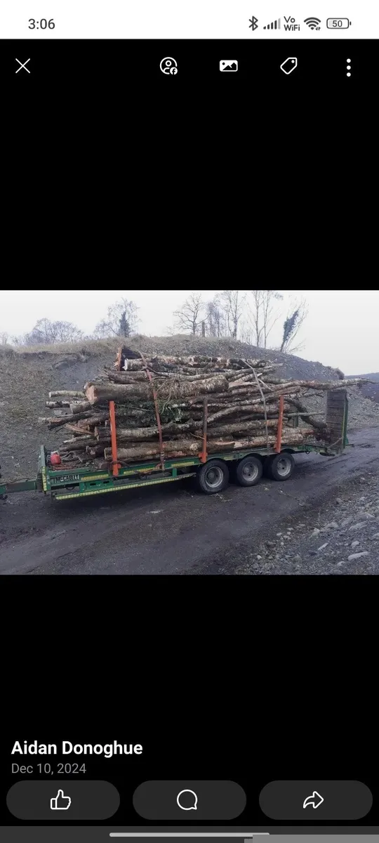 Digger hire / fuel supplied/ firewood. - Image 2