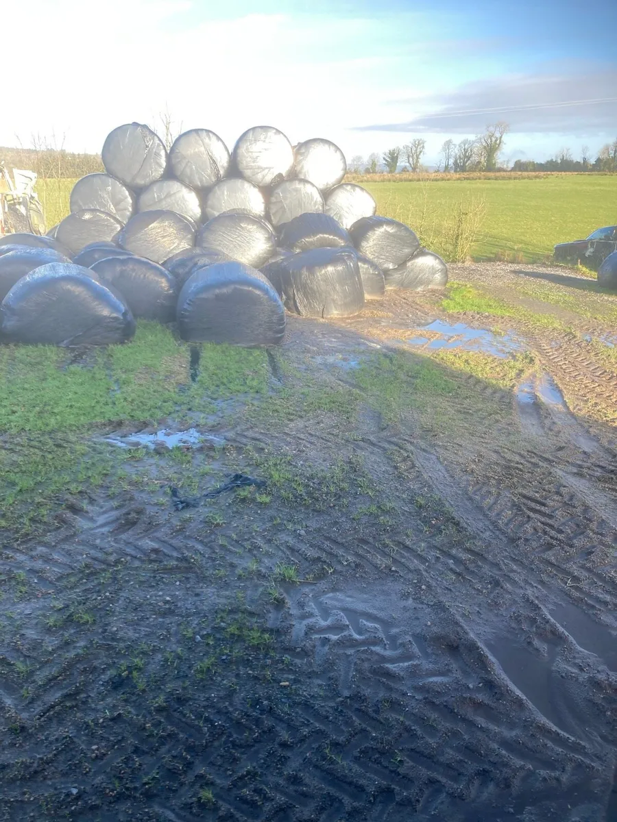 Silage
