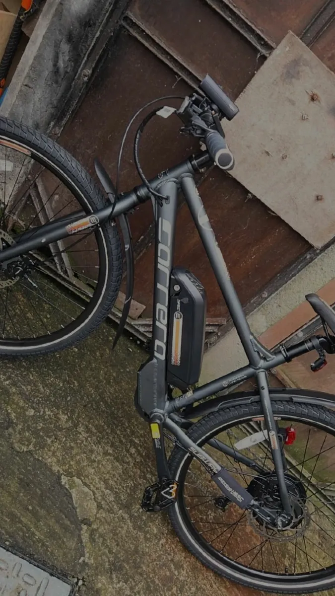 Electric bike - Image 1