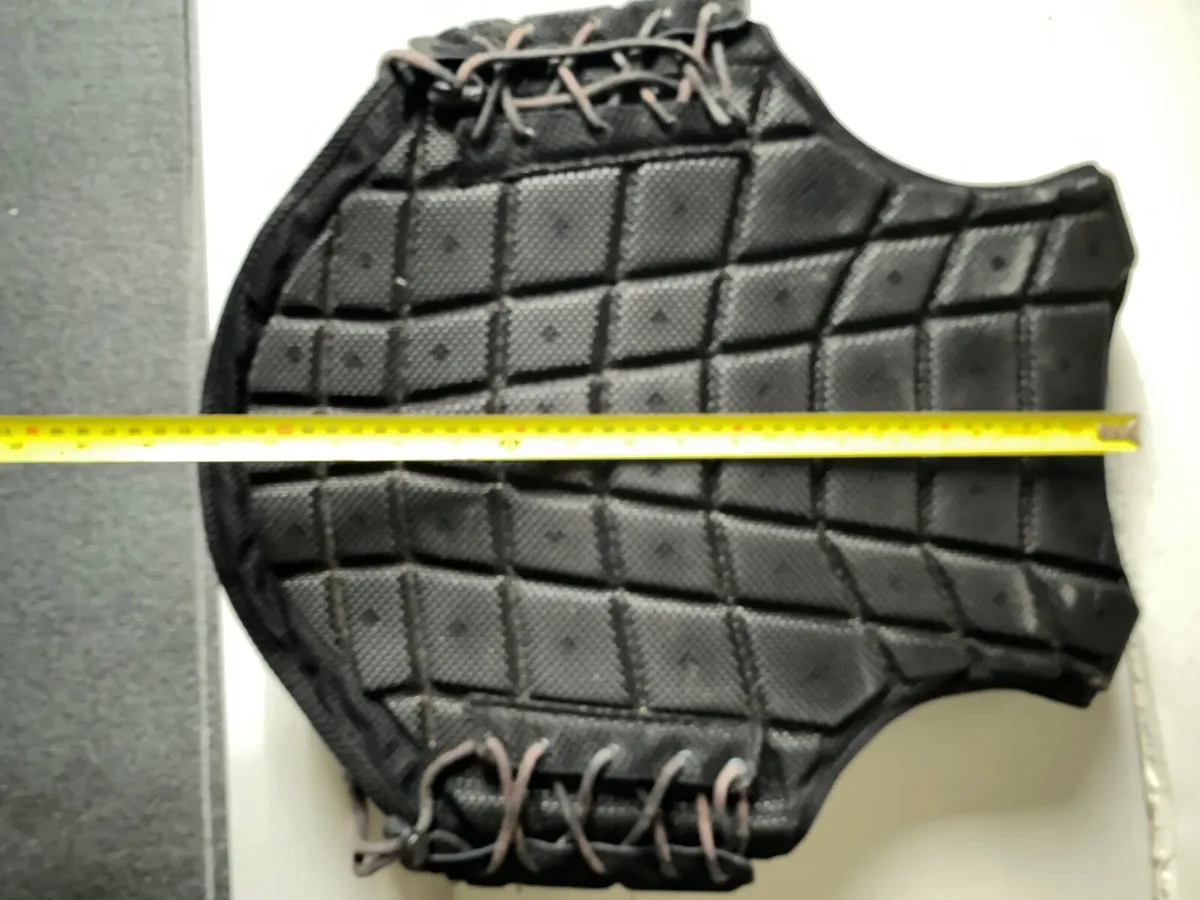 Back protector - Image 1