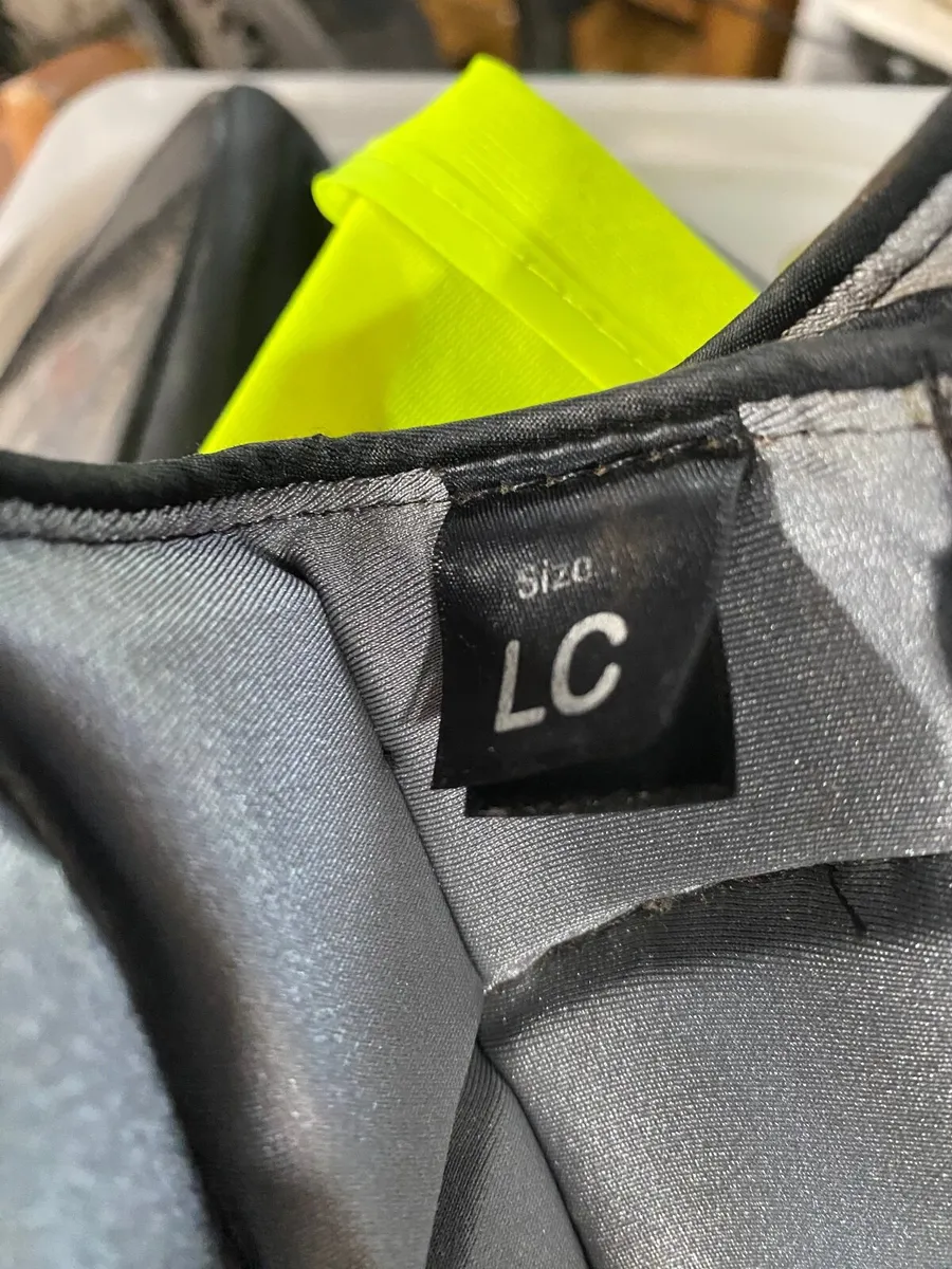 Back protector - Image 3