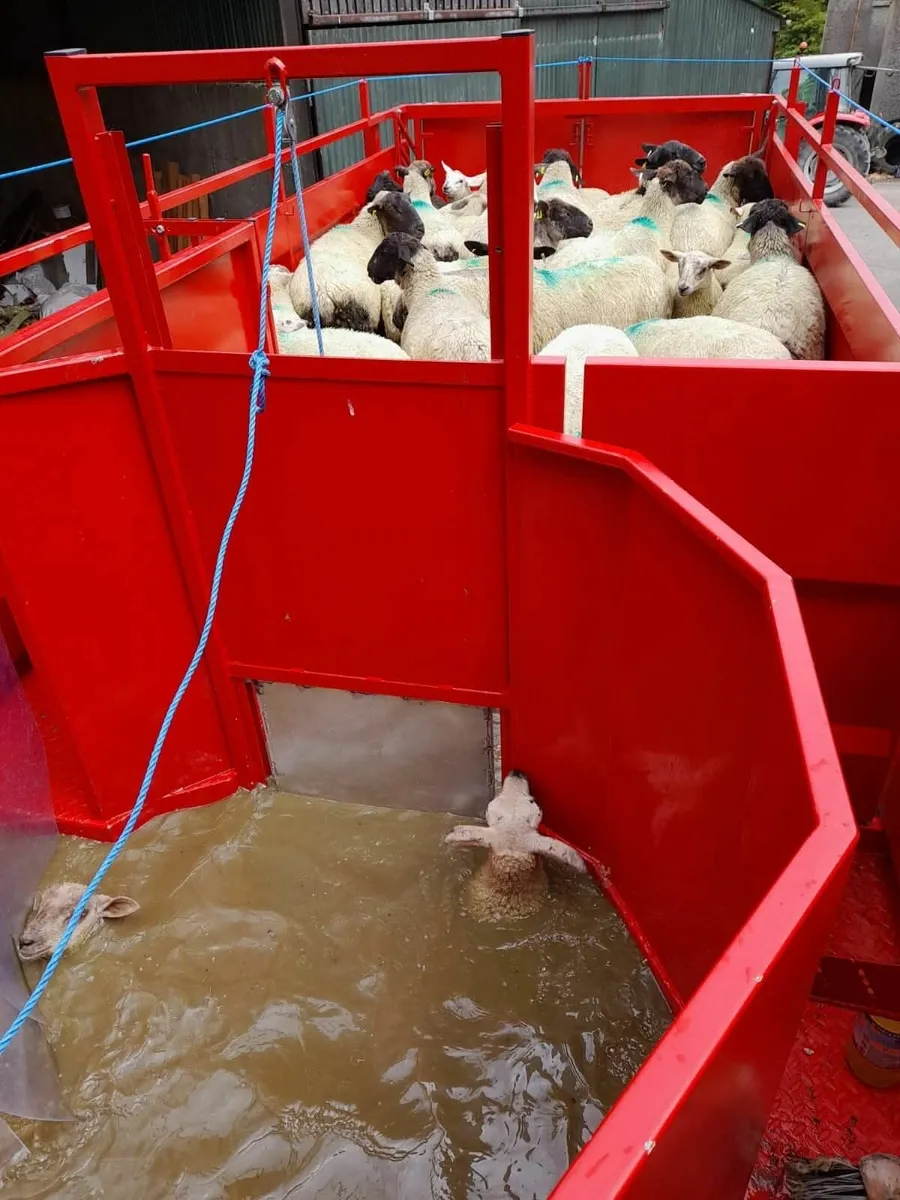 Portequip sheep dipper - Image 2