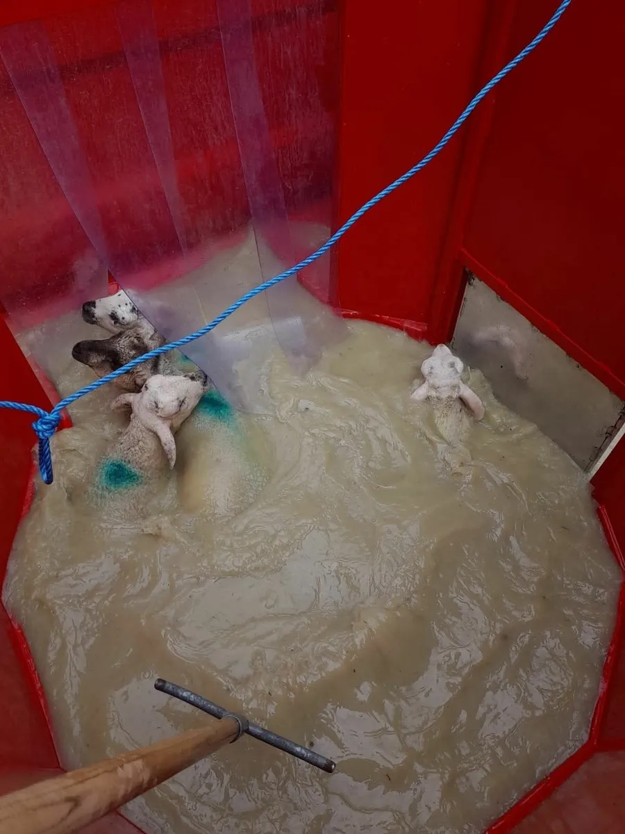 Portequip sheep dipper - Image 3