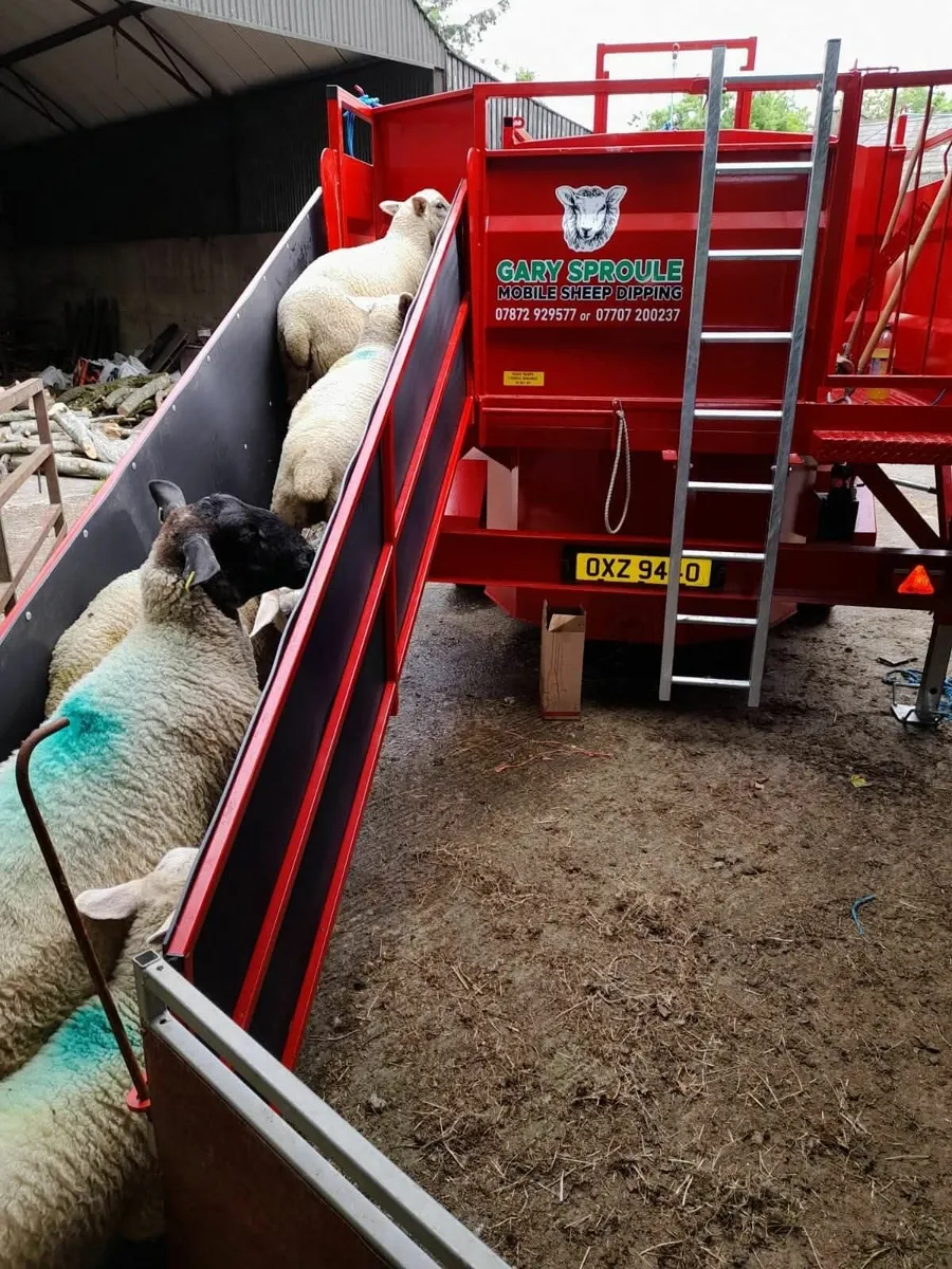 Portequip sheep dipper - Image 4