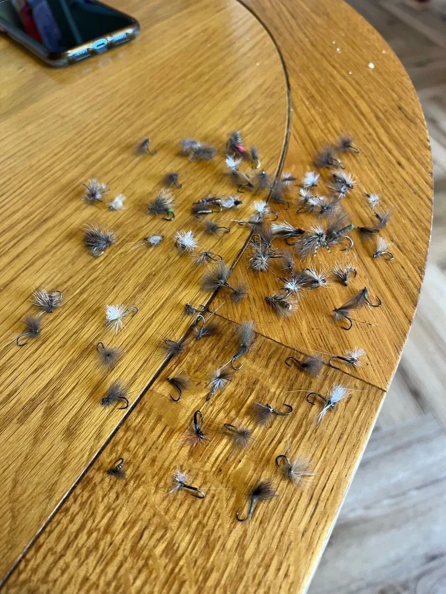 Fishing Fly box with assorted nymphs and dry flies - Image 1