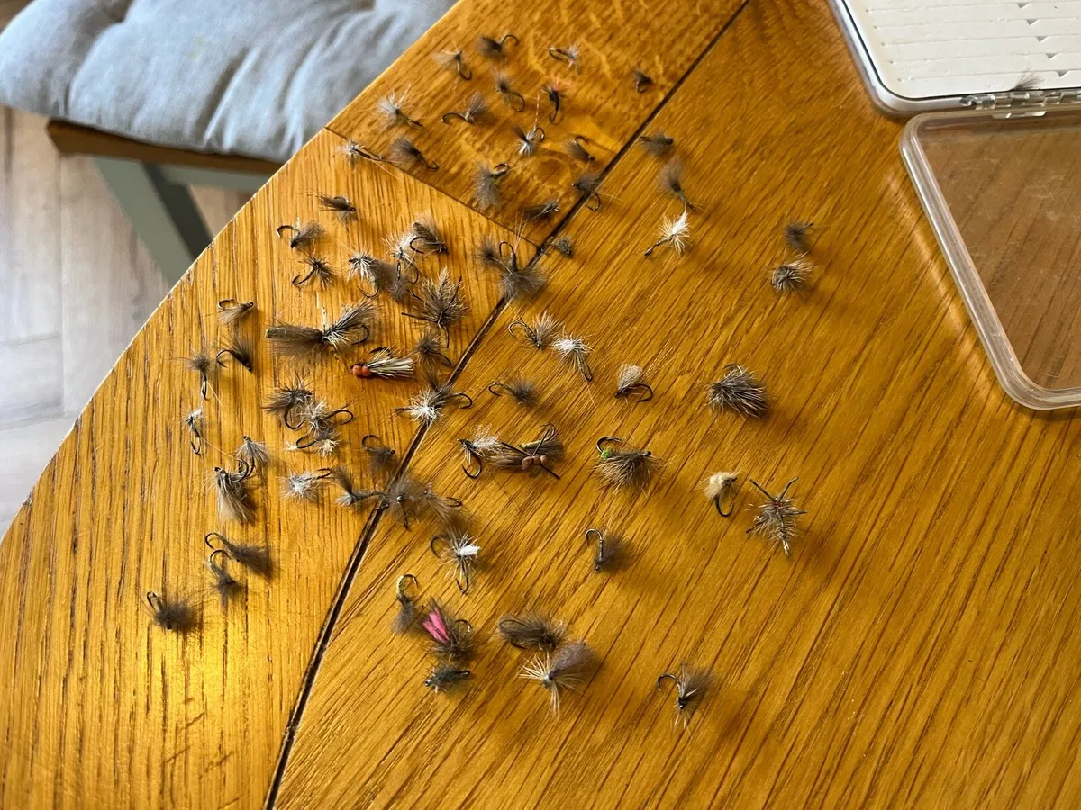 Fishing Fly box with assorted nymphs and dry flies - Image 3