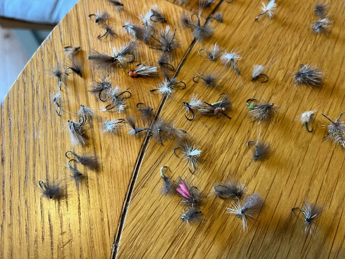 Fishing Fly box with assorted nymphs and dry flies - Image 4