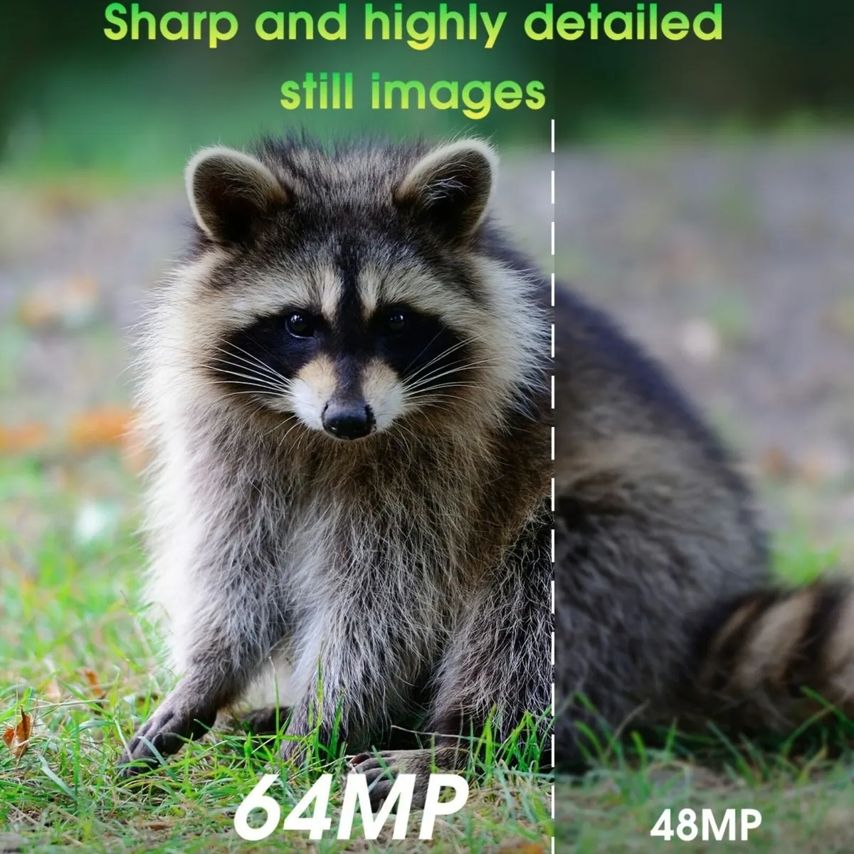 WiFi Trail Camera, 4K 64MP Game Camera - Image 4