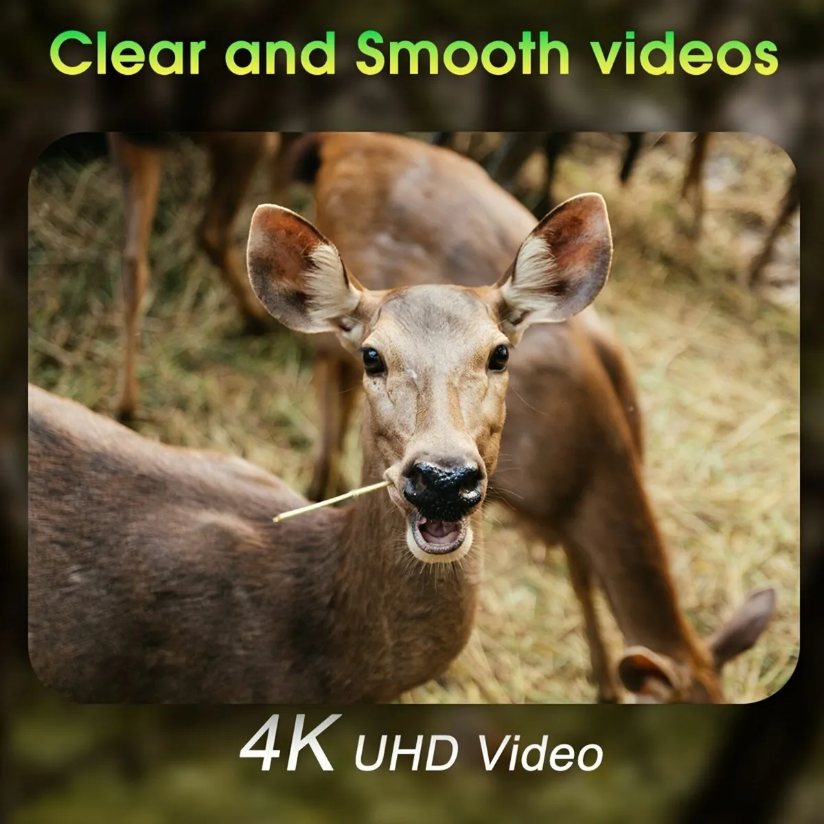 WiFi Trail Camera, 4K 64MP Game Camera - Image 3