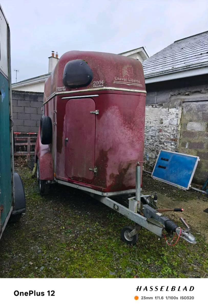 Horse trailer - Image 2