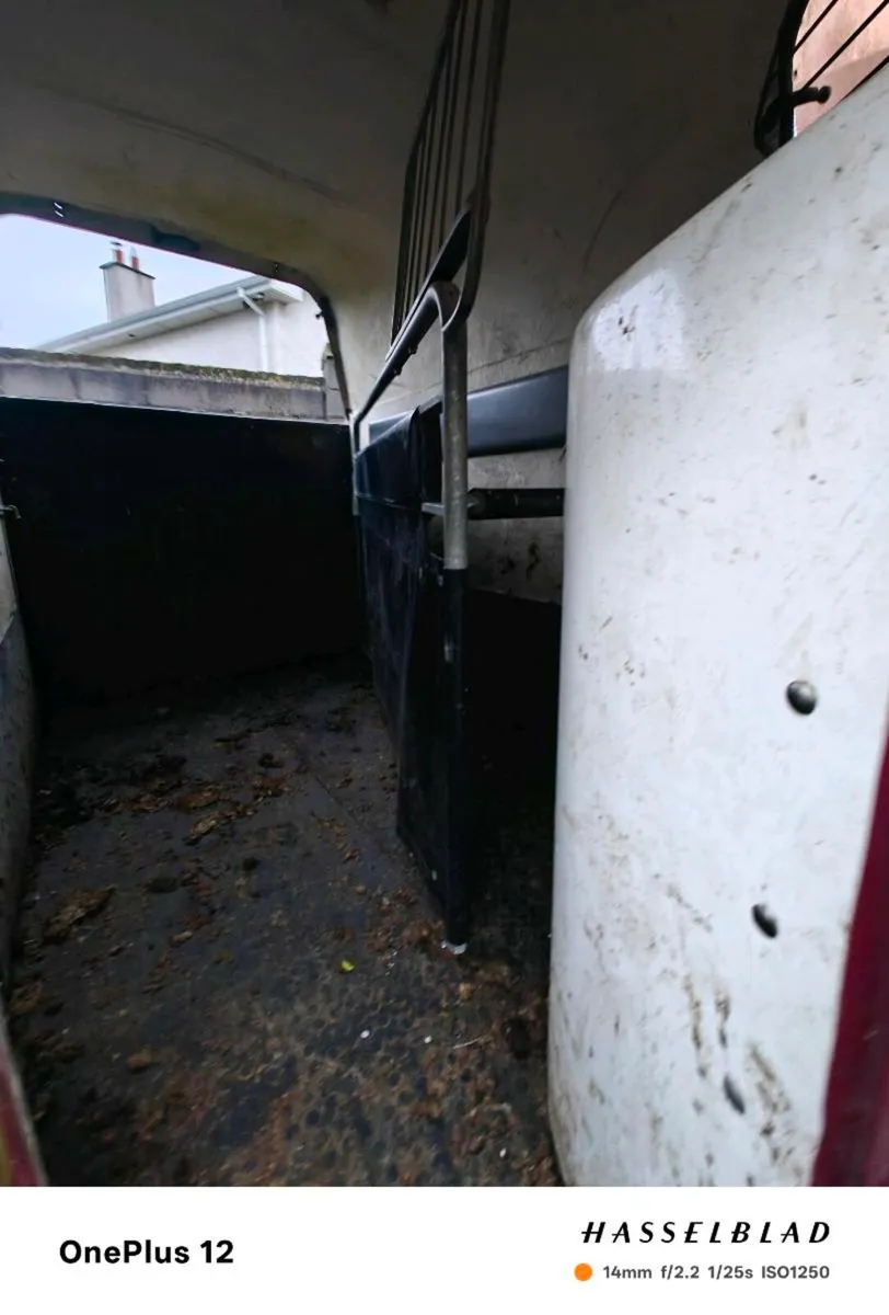 Horse trailer - Image 3