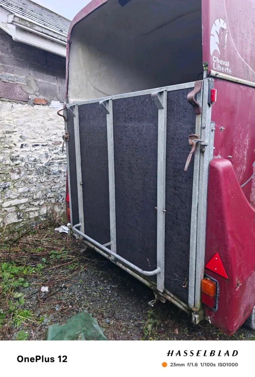 Horse trailer - Image 4