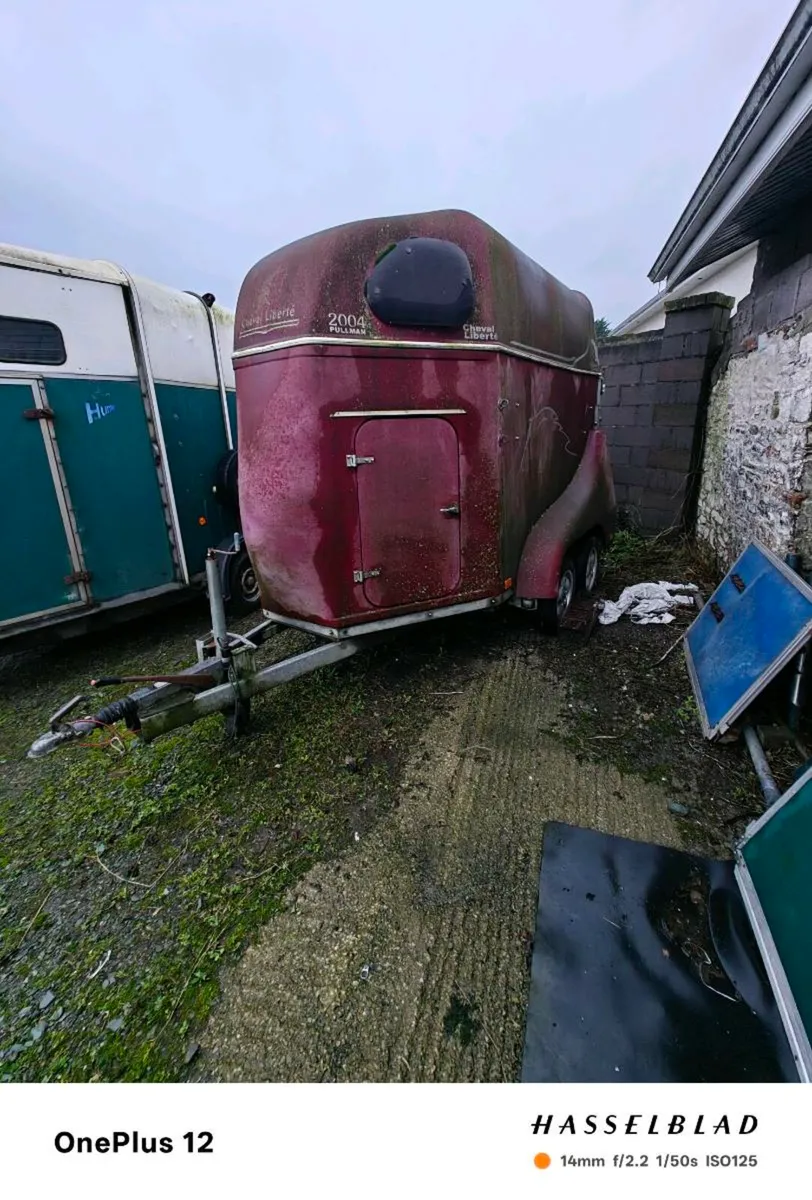 Horse trailer - Image 1