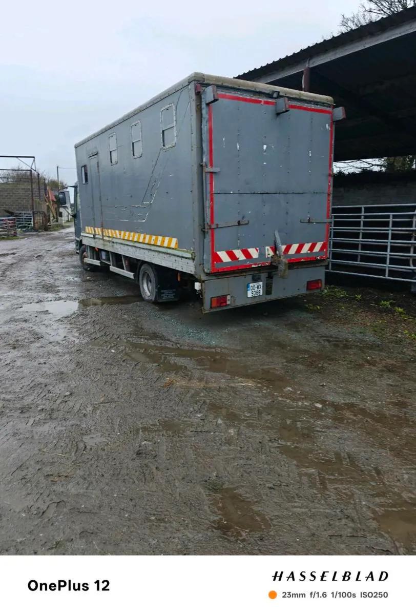 Horse truck - Image 4