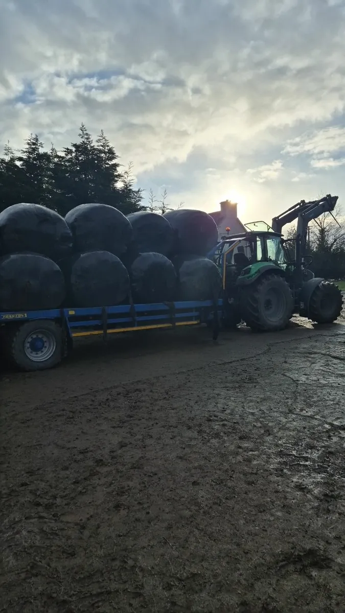 Silage bales for Sale - Image 3