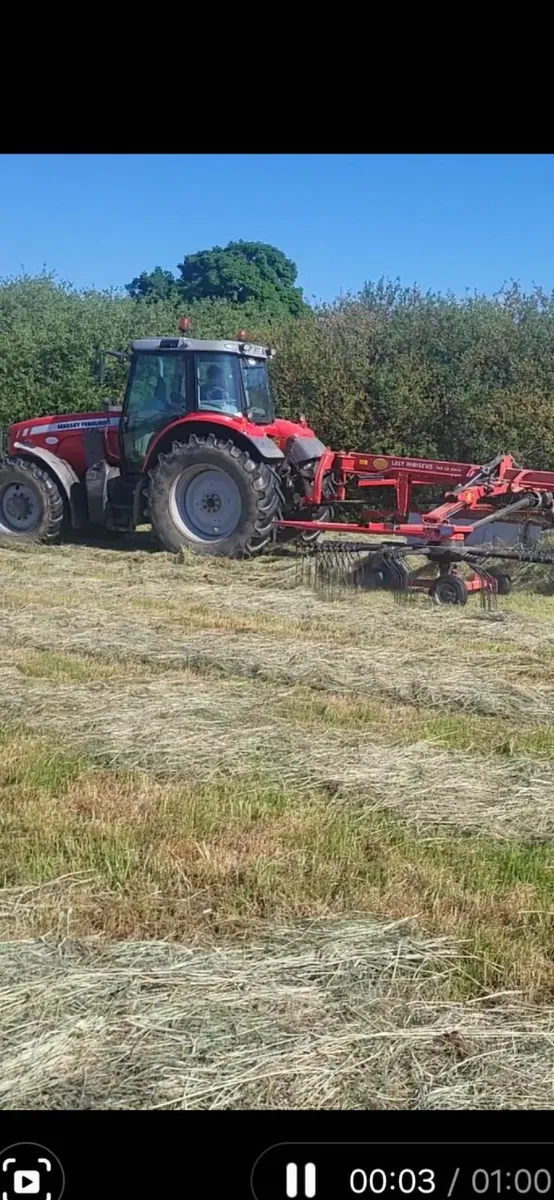 Haylage - Image 3