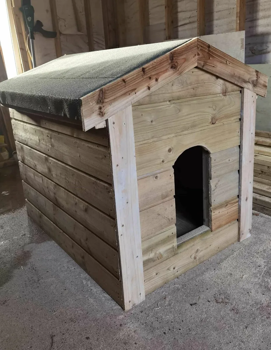 For sale Large size - Image 3